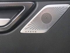 XPeng G3 G3i 520G - ფოტო 16