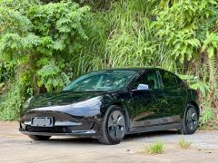 Tesla Model 3 Rear-Wheel Drive - ფოტო 1