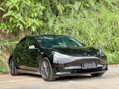 Tesla Model 3 Rear-Wheel Drive - ფოტო 3