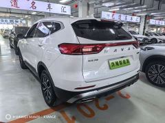 Haval H6 National Trend Edition 1.5T Automatic Urban Version - ფოტო 6