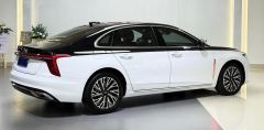 Hongqi H5 PHEV 1.5T 50Anniversary Edition - фото 9