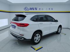Haval M6 PLUS 1.5T Version - ფოტო 2