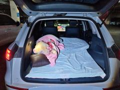 Geely Galaxy E5 610km Long-Range Edition - ფოტო 7