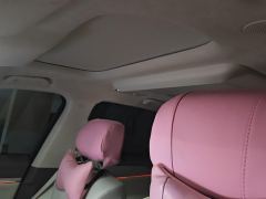 WEY Lam San Wei Brand Blue Mountain 1.5T 263km AWD Ultra - photo 15