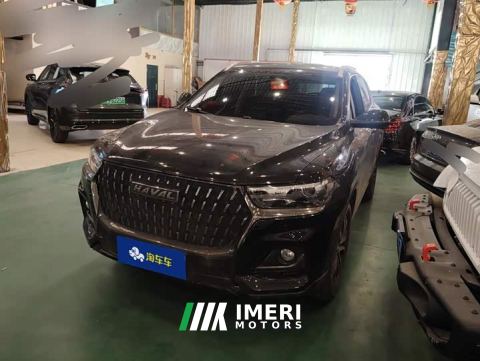 2024 Haval H6 National Trend Edition 1.5T Automatic Urban Version - ავტომობილი ჩინეთიდან