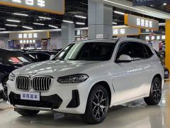 BMW X3 xDrive25i M Sport Package - фото 1