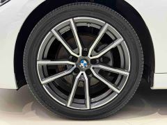 BMW 3 Series 320Li M Sport Package - ფოტო 19