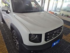 Haval Great Wall Big Dog Great Wall Dog 1.5T 2WD Edge Pastoral Edition - фото 3