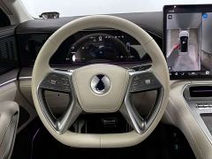 Denza N9 Flagship - ფოტო 13
