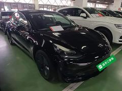 Tesla Model 3 Facelift Standard Range RWD Upgrade 3D1 - фото 3