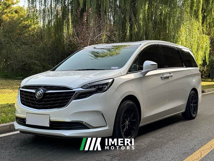 Buick GL8 ES Luxe 653T Comfort