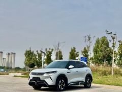 BYD Yuan UP 401km Leading Edition - ფოტო 1