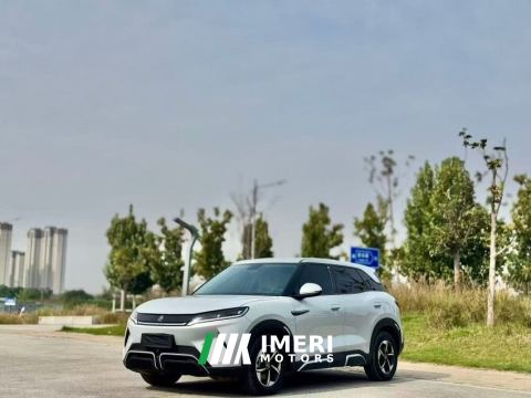 2024 BYD Yuan UP 401km Leading Edition