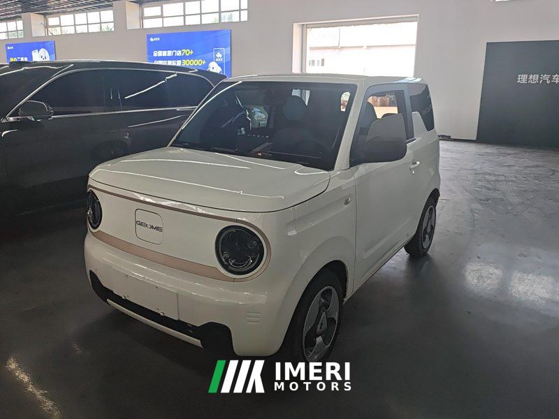 Geely Galaxy Panda mini 200km Animated Bear - ავტომობილი ჩინეთიდან