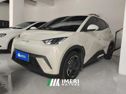 2023 BYD Seagull 405km Flying Edition - ავტომობილი ჩინეთიდან