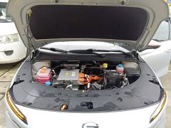 GAC AION S MAX 70 Star Edition - photo 19