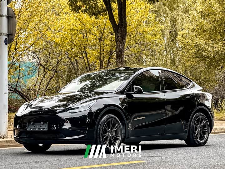 Tesla Model Y Rear-Wheel Drive - ავტომობილი ჩინეთიდან