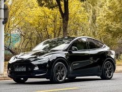 Tesla Model Y Rear-Wheel Drive - ფოტო 1
