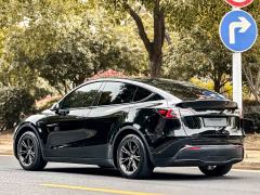 Tesla Model Y Rear-Wheel Drive - ფოტო 3