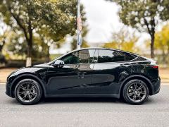 Tesla Model Y Rear-Wheel Drive - ფოტო 5