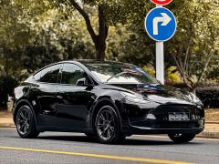 Tesla Model Y Rear-Wheel Drive - ფოტო 6