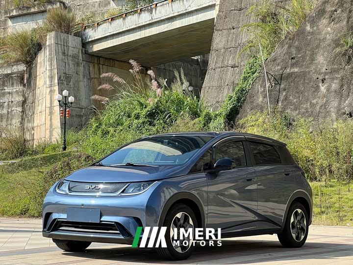 BYD Dolphin 420km Freedom Edition