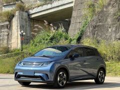 BYD Dolphin 420km Freedom Edition - photo 1