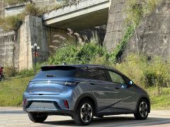 BYD Dolphin 420km Freedom Edition - photo 15