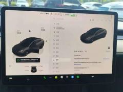 Tesla Model 3 Rear-Wheel Drive - ფოტო 9