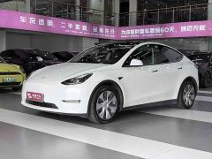 Tesla Model Y Standard Range RWD - photo 1