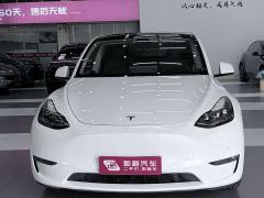 Tesla Model Y Standard Range RWD - photo 2