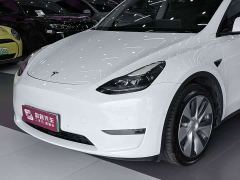 Tesla Model Y Standard Range RWD - photo 3