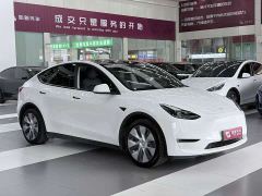 Tesla Model Y Standard Range RWD - photo 4