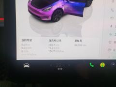 Tesla Model Y 554km Rear-Wheel Drive Edition - фото 20