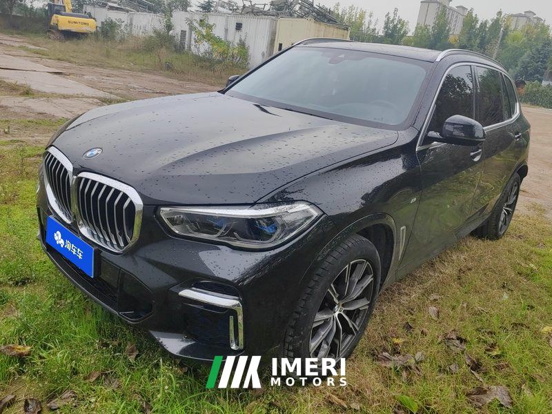 BMW X5 xDrive30Li Deluxe VersionM