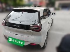 Dongfeng Nammi 01 Edition 330Plus - photo 4