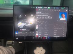 Tesla Model 3 606km Rear-Wheel Drive Edition - ფოტო 9