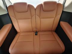 Leapmotor Leapo C16 Extended Range 200 Deluxe Edition - photo 13