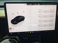 Tesla Model 3 Rear-Wheel Drive - ფოტო 11