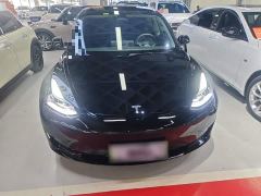 Tesla Model 3 Rear-Wheel Drive - ფოტო 2