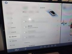 Xpeng P7 Long Range Max - ფოტო 18