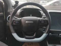 Chery Ant Edition 30kw 301km - ფოტო 12