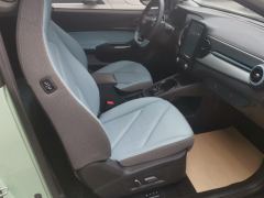 Chery Ant Edition 30kw 301km - ფოტო 16