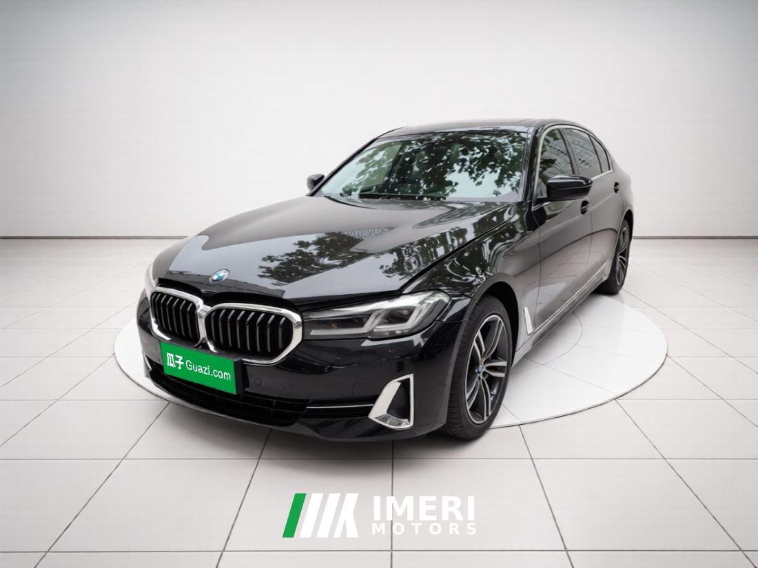 BMW 5 Series 530Li Premier Luxury Package - car from China