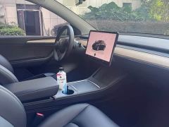 Tesla Model Y Rear-Wheel Drive - ფოტო 12