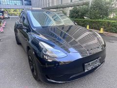 Tesla Model Y Rear-Wheel Drive - ფოტო 3