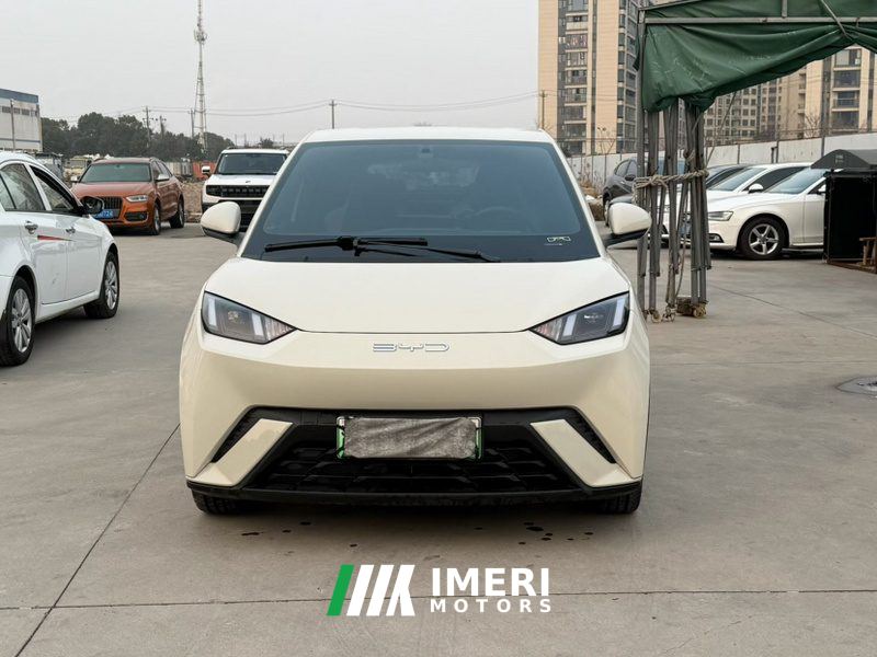 BYD Seagull 305km Vitality Edition - ავტომობილი ჩინეთიდან