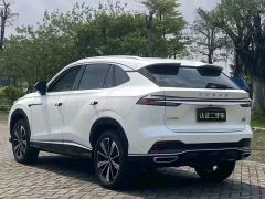 Roewe RX5 PLUS 330TGI Edition - ფოტო 9