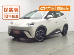 BYD Seagull 305km Free Version - photo 1