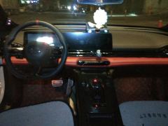 GAC Shadow Leopard 270T J16 Edition - ფოტო 16